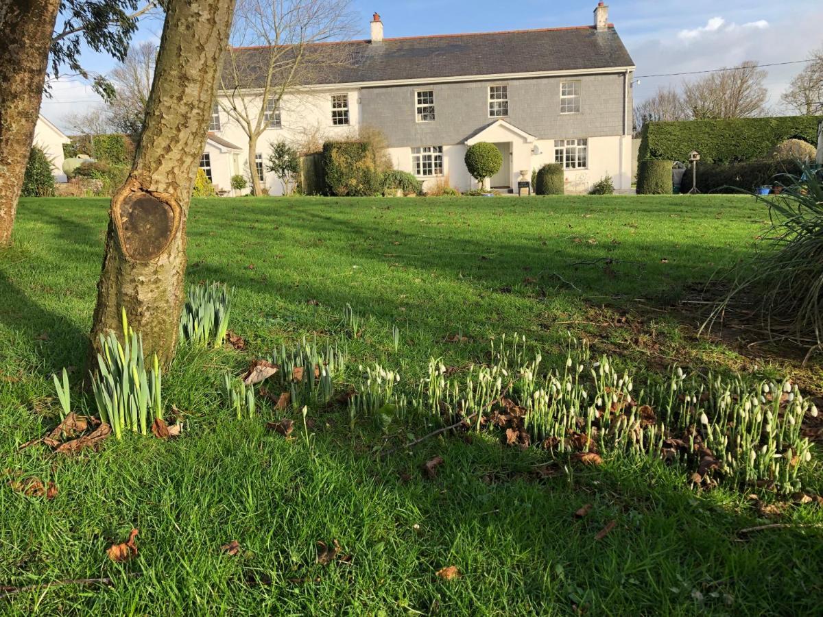 Treweens Wadebridge Dış mekan fotoğraf