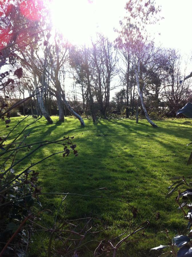 Treweens Wadebridge Dış mekan fotoğraf